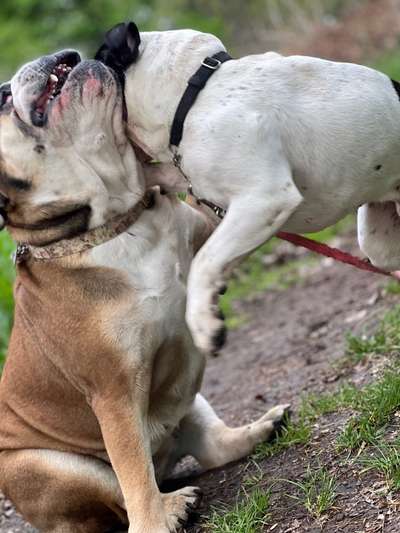 Foto Challange Nr.80-Beitrag-Bild