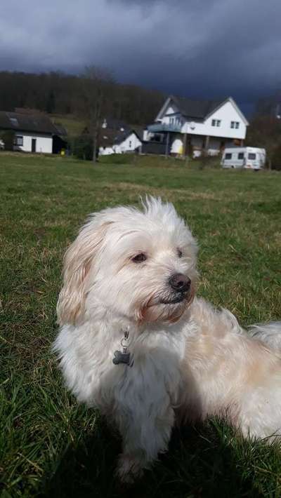 😊👍-Beitrag-Bild