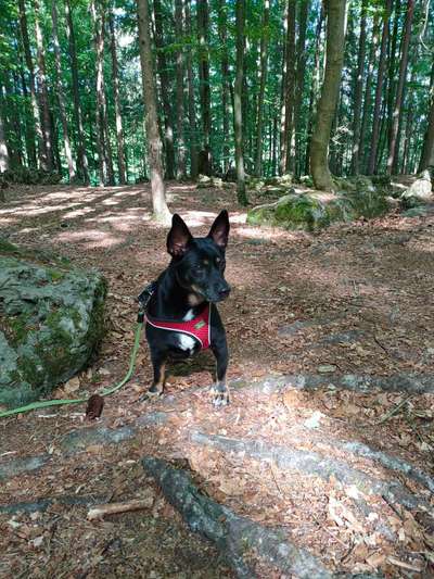 Doppelgänger gesucht !-Beitrag-Bild