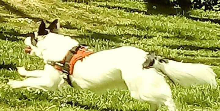 Fotowettbewerb Natur-Beitrag-Bild