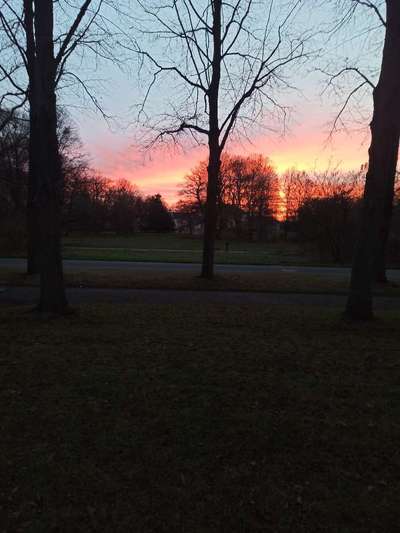 Die wunderschöne Welt mit Hund.-Beitrag-Bild