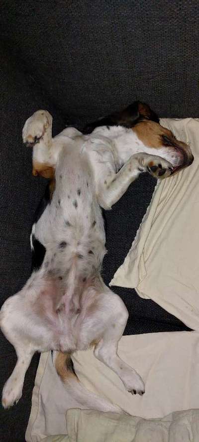 Foto Challenge - Zeigt her eure Bäuche-Beitrag-Bild