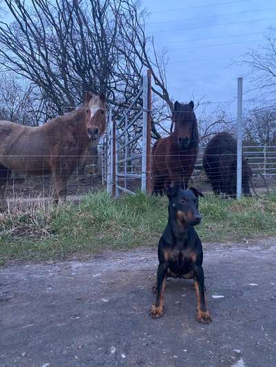 Ratespaß geht weiter-Beitrag-Bild