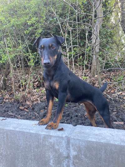 Ratespaß geht weiter-Beitrag-Bild