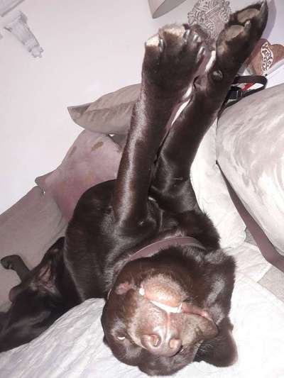 Die unbequemsten und lustigsten Schlafpositionen-Beitrag-Bild