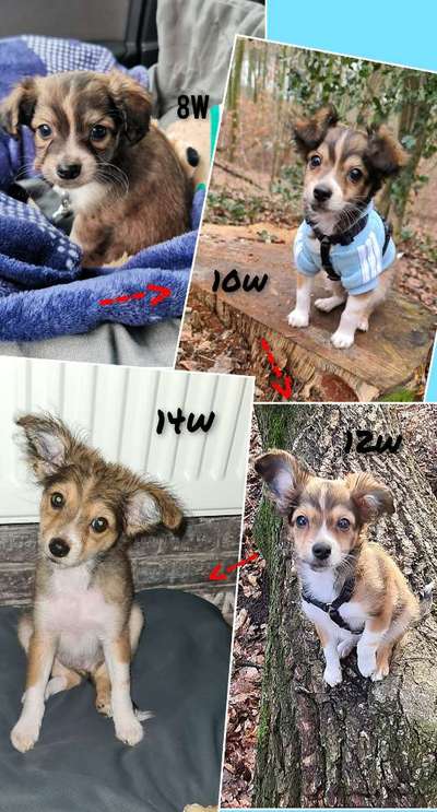 Vorher.... Nachher-Beitrag-Bild