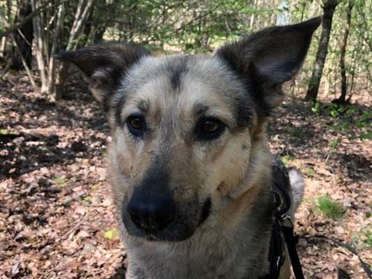 Fotowettbewerb Natur-Beitrag-Bild