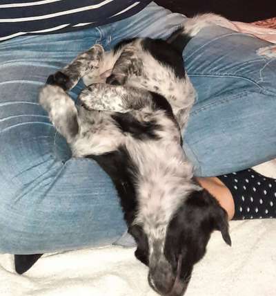 Die unbequemsten und lustigsten Schlafpositionen-Beitrag-Bild