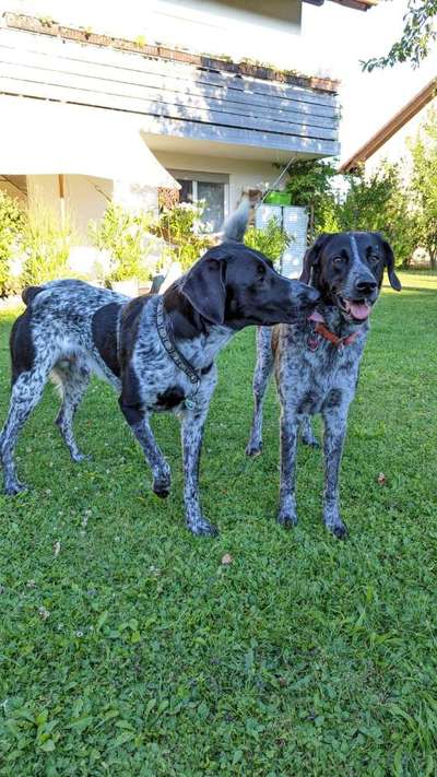 Fotochallenge 130-Beitrag-Bild