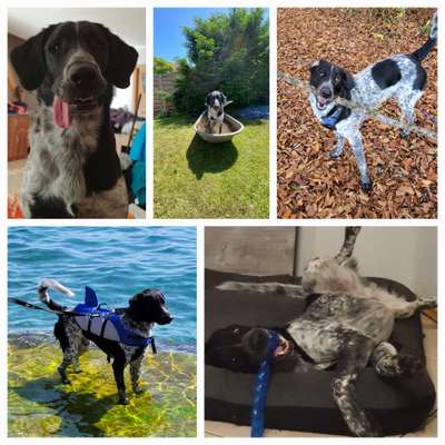 32. Collagen Challenge - eure liebsten gestellten Fotos-Beitrag-Bild