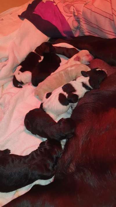 Blick fürs Detail!-Beitrag-Bild