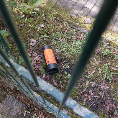 Giftköder-Rattengift-Bild
