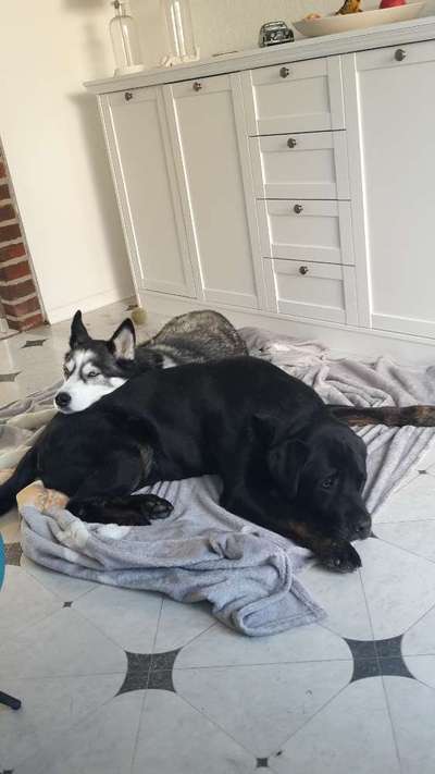 Challenge 30  Freundschaft-Beitrag-Bild