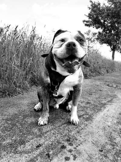 Arthrose-Beitrag-Bild