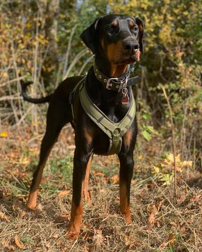 Herbst Bilder-Beitrag-Bild