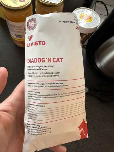 Durchfall beim Hund-Beitrag-Bild