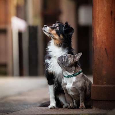 Tierfotografen-Five Claws Pictures-Bild