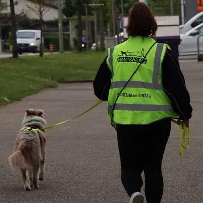 Hundetreffen-Mantrailing Hund & Mensch-Bild