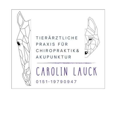 Tierärzte-Tierärztliche Praxis für Chiropraktik und Akupunktur Carolin Lauck-Bild