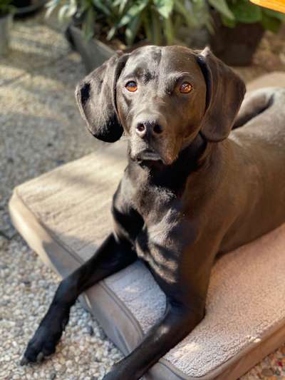 Fotochallange Nr. 57     PORTRÄT.   Beendet!!!!!!!!-Beitrag-Bild