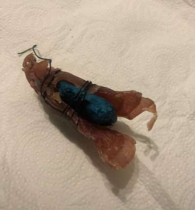 Giftköder-Giftköder-Bild