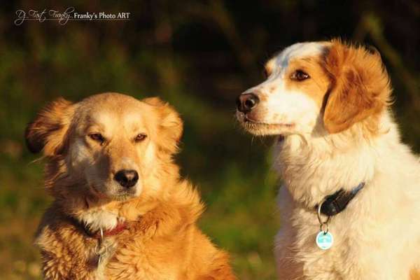 Fotochallange Nr. 57     PORTRÄT.   Beendet!!!!!!!!-Beitrag-Bild