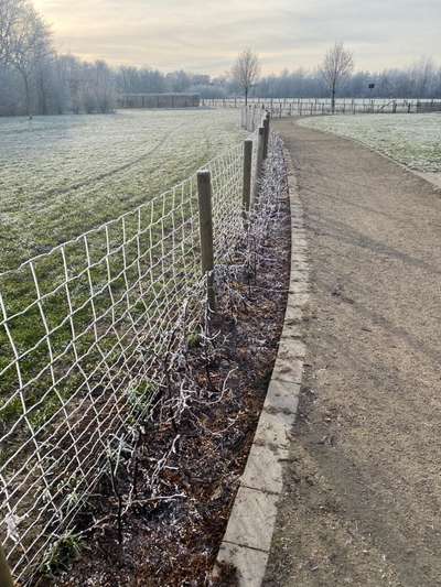 Hundeauslaufgebiet-Hundewiese Datteln / Möllerskamp-Bild