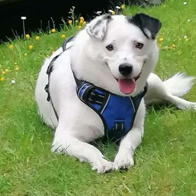 Wie habt ihr den Silvesterabend verbracht?-Beitrag-Bild