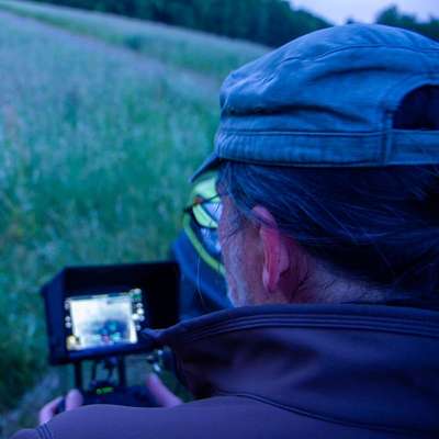 Leinenpflicht – nervige Einschränkung oder sinnvoller Schutz?-Beitrag-Bild