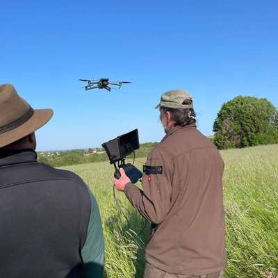 Leinenpflicht – nervige Einschränkung oder sinnvoller Schutz?-Beitrag-Bild