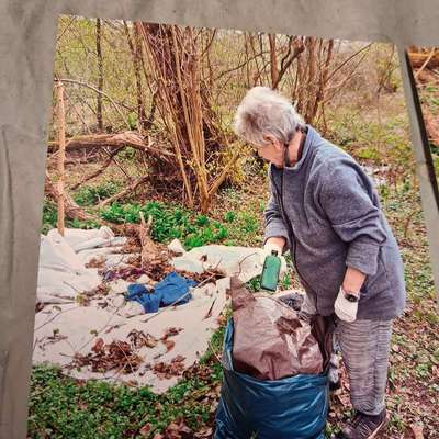 Leinenpflicht – nervige Einschränkung oder sinnvoller Schutz?-Beitrag-Bild