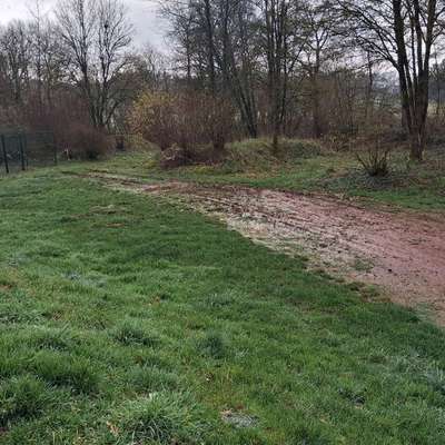 Leinenpflicht – nervige Einschränkung oder sinnvoller Schutz?-Beitrag-Bild