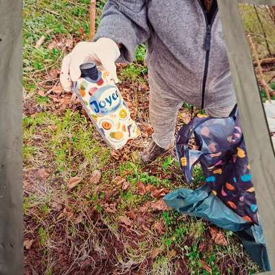 Leinenpflicht – nervige Einschränkung oder sinnvoller Schutz?-Beitrag-Bild