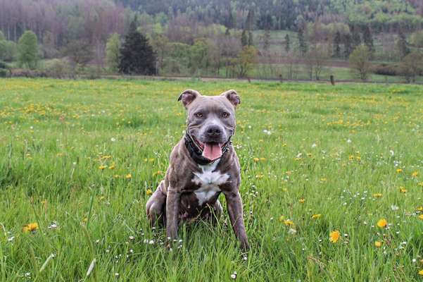 Challenge Nr. 10: "Das schönste Lächeln"-Beitrag-Bild