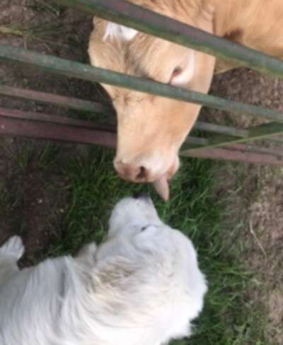 Fotowettbewerb Natur-Beitrag-Bild