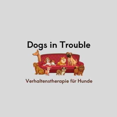 Hundeschulen-Dogs in Trouble-Bild