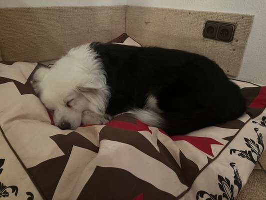 Viel trinken und in die Wohnung machen-Beitrag-Bild