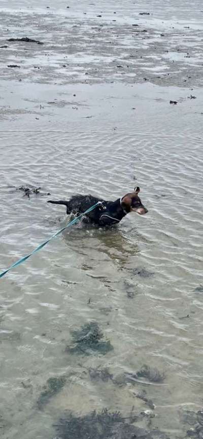 FOTOCHALLANGE NR.71 BADEFREUDE-Beitrag-Bild