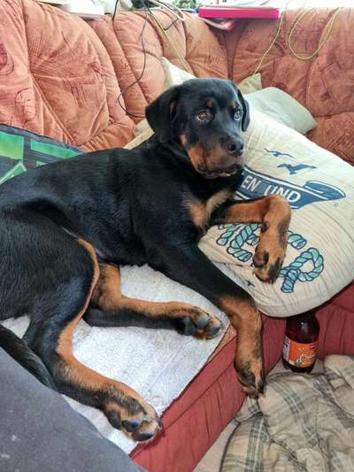 Fotochallenge Nr. 64-Beitrag-Bild