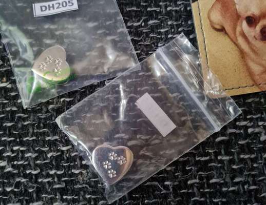 Unsere Fellnasen im Regenbogenland-Beitrag-Bild