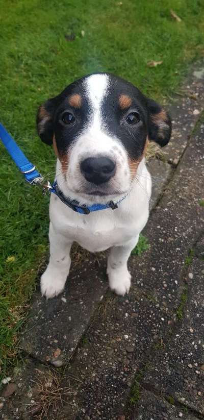 Erstes Bild-Beitrag-Bild