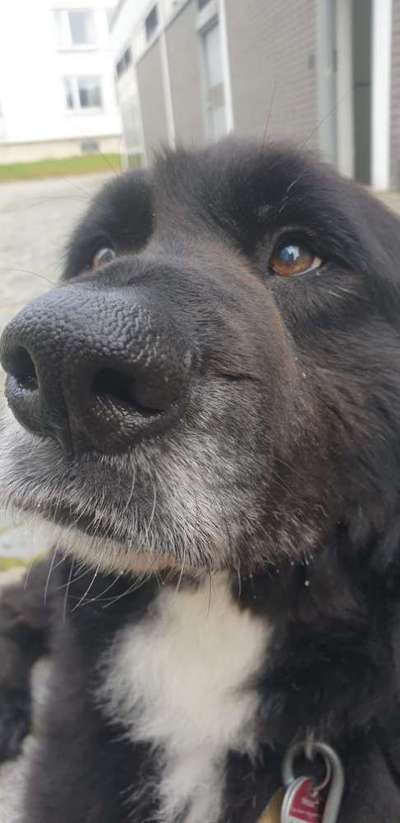 Fotochallange Nr. 57     PORTRÄT.   Beendet!!!!!!!!-Beitrag-Bild