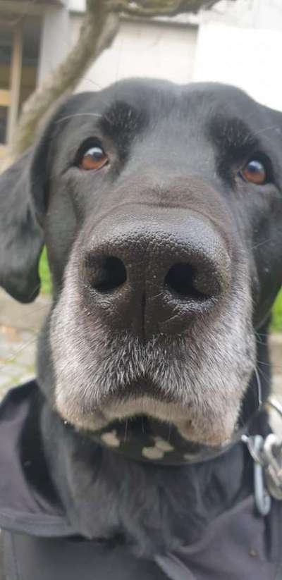 Fotochallange Nr. 57     PORTRÄT.   Beendet!!!!!!!!-Beitrag-Bild