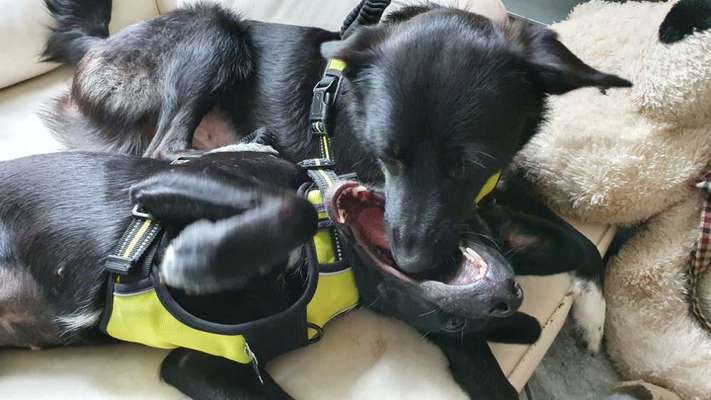 LUSTIGE FOTOS! WER KANN MITHALTEN?-Beitrag-Bild