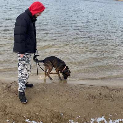 Hundetreffen-Jack ist verspielt und würde gerne mal ein Runde spielen vielleicht haben sie und ihr Hund Zeit