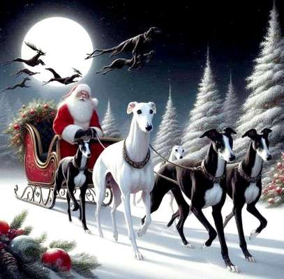 Windhunde - Treffen der besonderen Schönheiten
HERZLICH WILLKOMMEN-Beitrag-Bild