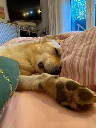 32. Farben Challenge  ** ( BUNTE ) STREIFEN **-Beitrag-Bild