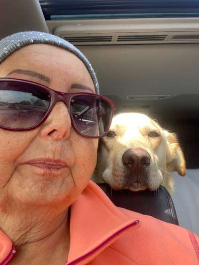 Auslandstierschutz-Beitrag-Bild