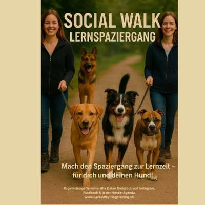 Giftköder-Lernspaziergang/Social Walk-Bild