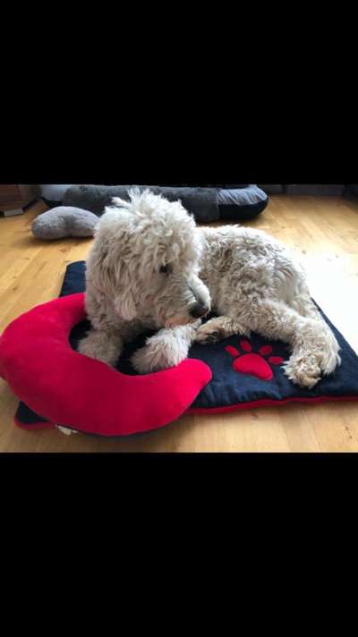 Doppelgänger gesucht !-Beitrag-Bild